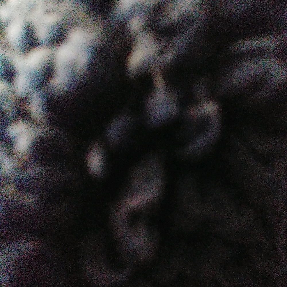 Meet your Posher, Angeliese
